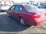 CHEVROLET MALIBU LS 1G1ZT54894F173927 photo