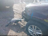 KIA SORENTO LX 5XYKTCA69FG640327 снимка