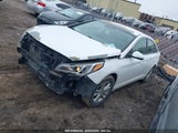 HYUNDAI SONATA ECO 5NPE24AA0GH432423 снимка