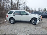 FORD ESCAPE XLS 1FMCU0C73AKC62106 снимка