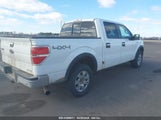 FORD F-150 XLT 1FTFW1EF5BKD20966 снимка