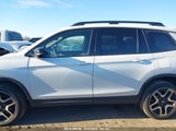 HONDA PASSPORT AWD ELITE 5FNYF8H05PB005081 fotografie