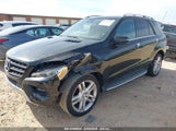 MERCEDES-BENZ ML 350 4JGDA5JBXDA267623 снимка