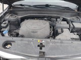 KIA TELLURIDE EX 5XYP3DHC9LG007295 снимка