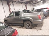 HONDA RIDGELINE RTS 5FPYK16489B107106 снимка