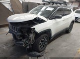 JEEP COMPASS TRAILHAWK 4X4 3C4NJDDB8KT668110 снимка