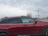 JEEP CHEROKEE LATITUDE PLUS FWD 1C4PJLLN1KD196126 fotografie