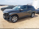 HYUNDAI TUCSON SEL 5NMJB3DE9RH310442 снимка