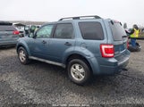 FORD ESCAPE XLT 1FMCU0DGXBKC53578 снимка