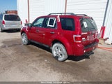 FORD ESCAPE XLT 1FMCU0D77CKA59818 fotografie