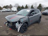JEEP COMPASS TRAILHAWK 4X4 3C4NJDDN2RT585468 снимка