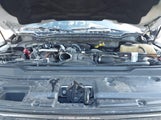 FORD F-350 PLATINUM 1FT8W3BT6HEC51307 снимка