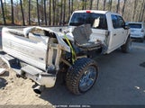 FORD F-350 PLATINUM 1FT8W3BT6HEC51307 снимка