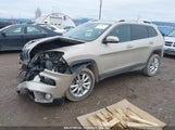 JEEP CHEROKEE LIMITED 1C4PJMDS9EW308609 снимка