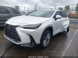 LEXUS NX 350H PREMIUM JTJGKCEZ6P2011257 снимка