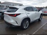 LEXUS NX 350H PREMIUM JTJGKCEZ6P2011257 photo