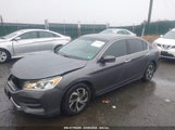 HONDA ACCORD LX 1HGCR2F39HA134741 снимка