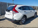 HONDA CR-V LX 5J6RM4H32EL115359 снимка