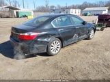 HONDA ACCORD EX 1HGCR2F7XDA024875 снимка