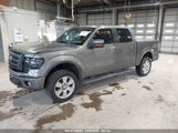 FORD F-150 FX4/HARLEY-DAVIDSON/KING RANCH/LARIAT/PLATINUM/XL/XLT 1FTFW1EV0AFC50503 fotografie
