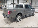 FORD F-150 FX4/HARLEY-DAVIDSON/KING RANCH/LARIAT/PLATINUM/XL/XLT 1FTFW1EV0AFC50503 fotografie