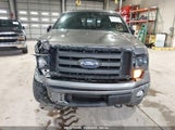 FORD F-150 FX4/HARLEY-DAVIDSON/KING RANCH/LARIAT/PLATINUM/XL/XLT 1FTFW1EV0AFC50503 fotografie