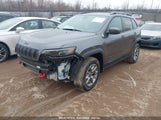 JEEP CHEROKEE TRAILHAWK 4X4 1C4PJMBX2LD562699 снимка