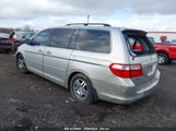 HONDA ODYSSEY EX-L 5FNRL387X7B407708 снимка
