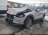 MAZDA CX-30 2.5 S SELECT 3MVDMBBM4PM525845 снимка