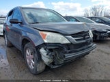 HONDA CR-V SE 5J6RE4H44BL022330 снимка