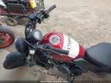 HONDA CMX300 MLHNC5303P5600236 снимка