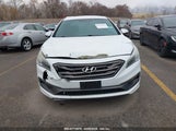 HYUNDAI SONATA SPORT 5NPE34AF2GH320537 снимка