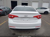 HYUNDAI SONATA SPORT 5NPE34AF2GH320537 снимка