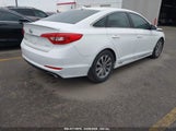 HYUNDAI SONATA SPORT 5NPE34AF2GH320537 снимка