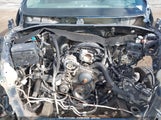 CHEVROLET SILVERADO 1500 3GCPYFED5LG119989 снимка
