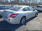 NISSAN MAXIMA 3.5 SV 1N4AA5AP7BC858485 снимка
