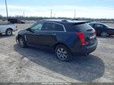 CADILLAC SRX LUXURY COLLECTION 3GYFNAEY2BS598856 снимка
