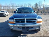 DODGE DAKOTA SLT 1D7HG42N64S591353 снимка