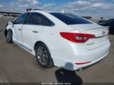 HYUNDAI SONATA SPORT 5NPE34AF3GH355703 снимка