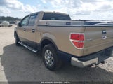 FORD F-150 XLT 1FTFW1CF7CKD87475 снимка