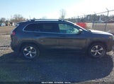 JEEP CHEROKEE LIMITED 4X4 1C4PJMDX0KD258170 снимка