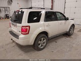 FORD ESCAPE LIMITED 1FMCU9EG5AKA11931 снимка