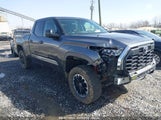 TOYOTA TUNDRA SR5 5TFLA5DA6PX092386 photo