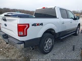FORD F-150 XLT 1FTEW1EP6FKD53131 снимка