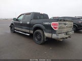 FORD F-150 XLT 1FTFW1EF8DFC42906 снимка