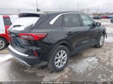 FORD ESCAPE ACTIVE 1FMCU0GN3RUA67860 fotografie