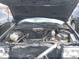 FORD ESCAPE XLT 1FMCU0D71CKB51619 снимка
