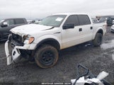 FORD F-150 XLT 1FTFW1EF1EFB50926 снимка