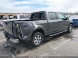 FORD F-150 XLT 1FTEW1CP4GKF12703 снимка