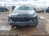 JEEP CHEROKEE 1C4PJMBS5EW128658 fotografie